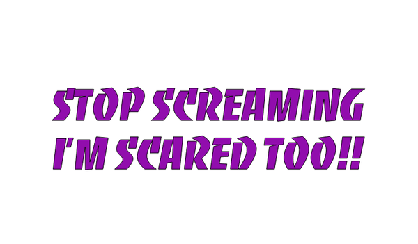 DirtPrincessDesigns Decals for Jeeps Stop Screaming I'm Scared Too!! Vinyl Decal Custom Designs  auto decal window sticker sticker accessories car accessories