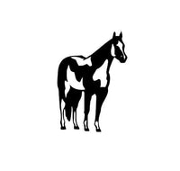 DirtPrincessDesigns Various Horse Discipline Decal Western/Dressage/Jumper/Barrel/Halter/Arabian Custom Designs  auto decal window sticker sticker accessories car accessories