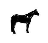 DirtPrincessDesigns Various Horse Discipline Decal Western/Dressage/Jumper/Barrel/Halter/Arabian Custom Designs  auto decal window sticker sticker accessories car accessories